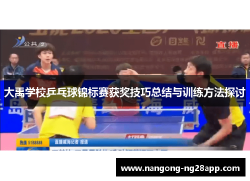 大禹学校乒乓球锦标赛获奖技巧总结与训练方法探讨